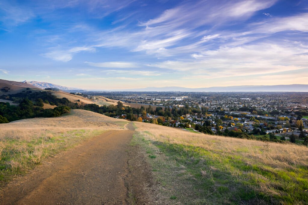 A scenic hilltop view overlooking a residential neighborhood in Union City, California.